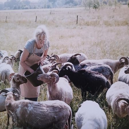Pipowagen Elsebein Groningen Westerwolde Unieke Ligging Met Eigen Tuin En Vrij Uitzicht Over Veld Naar Natuurgebied Onstwedde 外观 照片