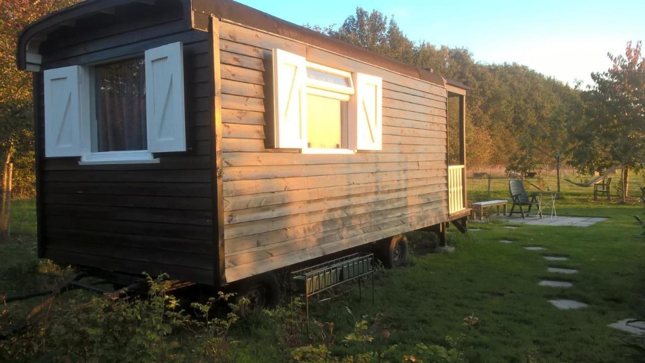 Pipowagen Elsebein Groningen Westerwolde Unieke Ligging Met Eigen Tuin En Vrij Uitzicht Over Veld Naar Natuurgebied Onstwedde 外观 照片