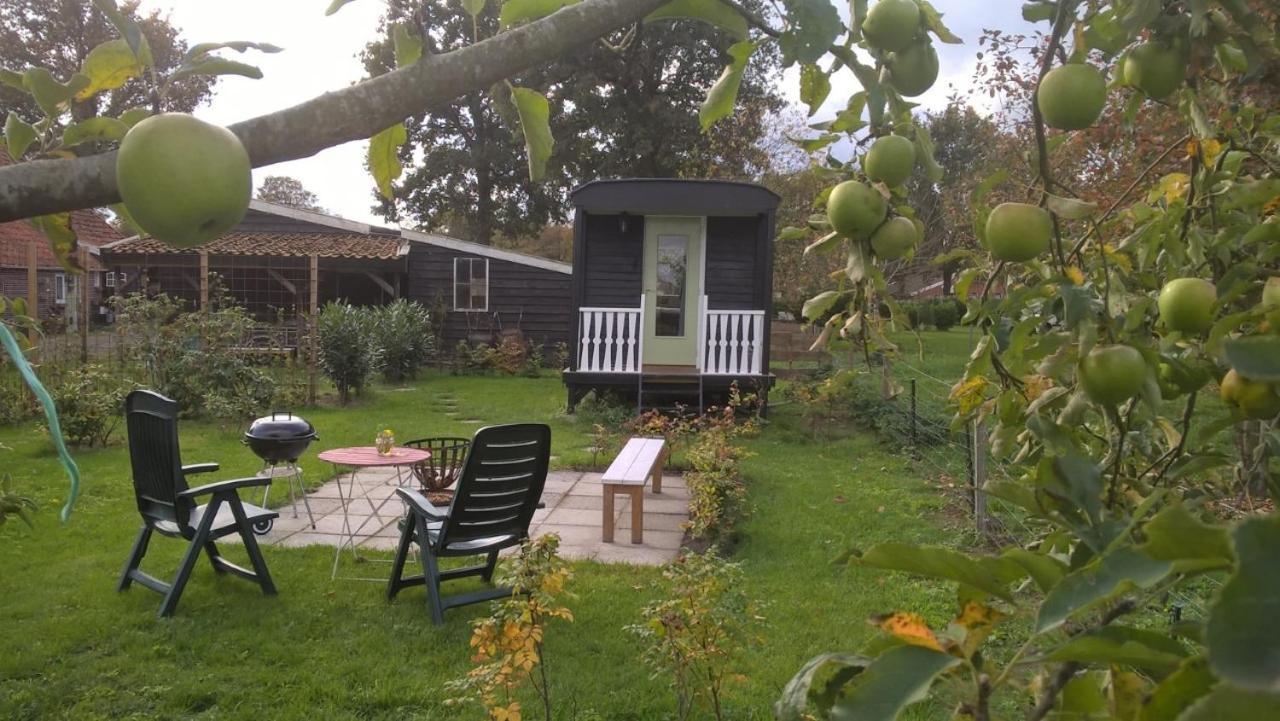 Pipowagen Elsebein Groningen Westerwolde Unieke Ligging Met Eigen Tuin En Vrij Uitzicht Over Veld Naar Natuurgebied Onstwedde 外观 照片
