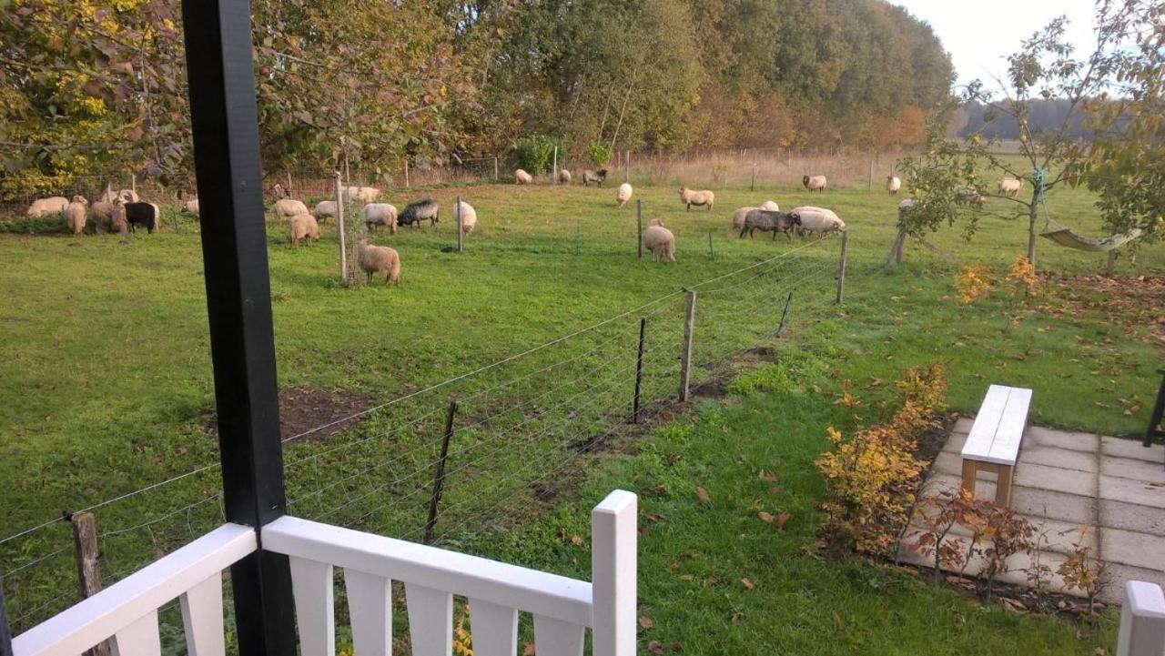 Pipowagen Elsebein Groningen Westerwolde Unieke Ligging Met Eigen Tuin En Vrij Uitzicht Over Veld Naar Natuurgebied Onstwedde 外观 照片