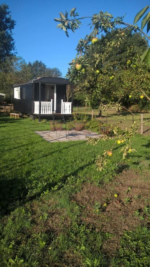 Pipowagen Elsebein Groningen Westerwolde Unieke Ligging Met Eigen Tuin En Vrij Uitzicht Over Veld Naar Natuurgebied Onstwedde 外观 照片