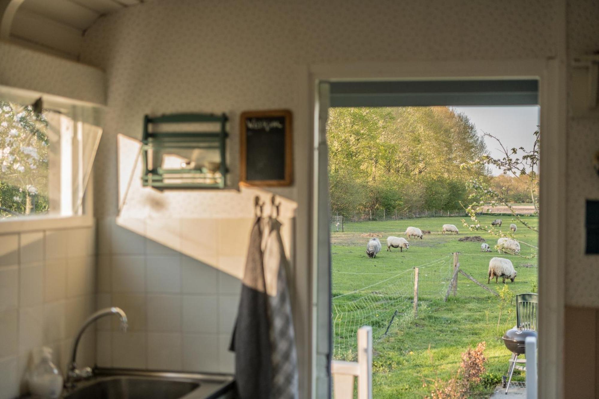 Pipowagen Elsebein Groningen Westerwolde Unieke Ligging Met Eigen Tuin En Vrij Uitzicht Over Veld Naar Natuurgebied Onstwedde 外观 照片
