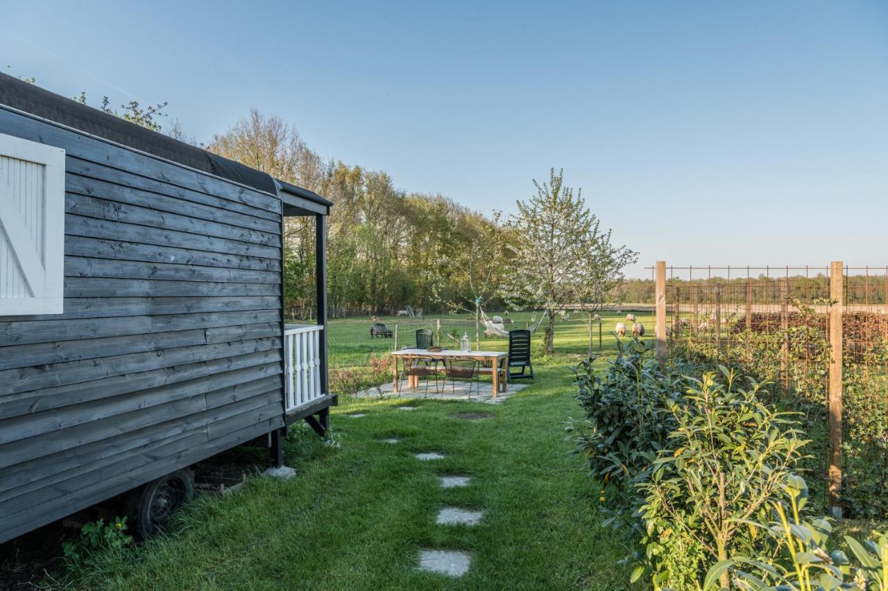 Pipowagen Elsebein Groningen Westerwolde Unieke Ligging Met Eigen Tuin En Vrij Uitzicht Over Veld Naar Natuurgebied Onstwedde 外观 照片