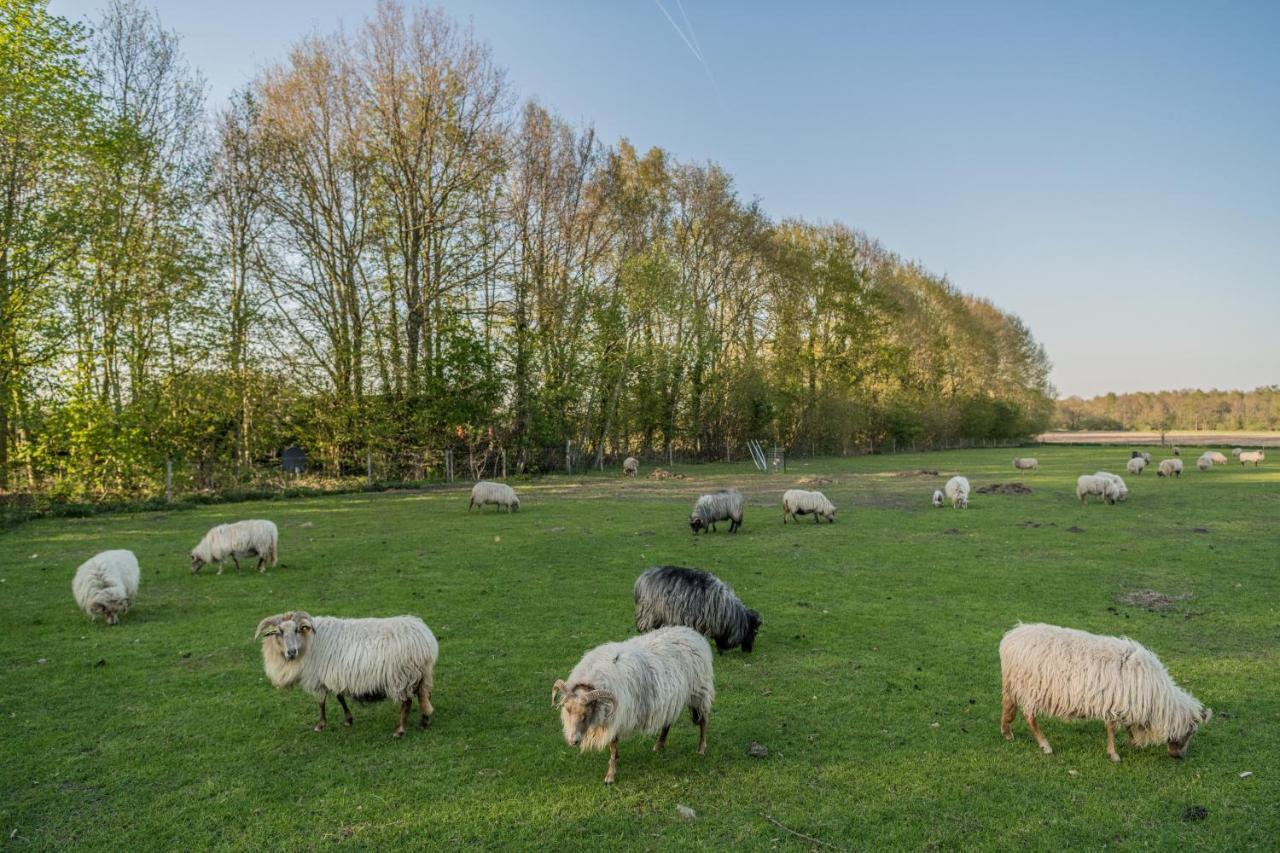 Pipowagen Elsebein Groningen Westerwolde Unieke Ligging Met Eigen Tuin En Vrij Uitzicht Over Veld Naar Natuurgebied Onstwedde 外观 照片